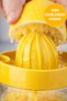300 ml Manual Citrus Juicer with Bpa Free Glass Chamber Lemon Orange Juicer Yellow - 5