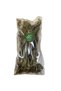 Damar Otu Broad Leaf 40 Gr - 3