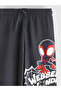 Esvab • Modern & Distinctive Waistband Drawstring Spiderman Printed Boys' Jogger Sweatpants - 3