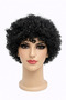Black Curly Short Wig Unisex Party Cosplay Natural Looking Synthetic Hair