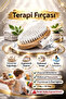 Therapressure Brush – Sensory Integration and Tactile Therapy Brush |   Ergotherapy & Öze - 2