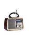 مبخرة إلكترونية محمولة RadioMox Pro MO-1082BT + DENX DX1925 - 4