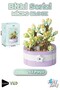Panlos Micro Block Plant Series 1256 Flower Bouquet 263 Pieces Toy Building Set Ffp-1256