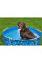Fetchin Fun Pet Play School - 2