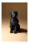 Modern Köpek Biblo (3D) - 2