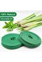 Mosquito Repellent Citronella Incense Coils - 4