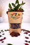 Dried Apricots 250 Gr Natural Snack Without Additives and Without Sugar