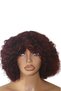 Afro Bouncy Curls Human Hair Wig – Short Curly Afro Wig | Natural Afro Human Hair Curls - 4