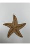 10 Pieces Starfish Wooden Painting School Event Activity Art 15 cm - 4