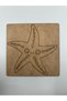 10 Pieces Starfish Wooden Painting School Event Activity Art 15 cm