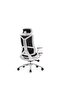 Modern Ergonomic Office Chair with Adjustable Headrest – 3 Position Lock, Nylon Base, PU Casters - 3
