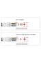 PIR Motion Sensor with Timer - 2