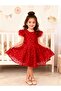 Daisy Patterned Buckle Dress-- Graduation-dog Day And Celebration Dress - 5