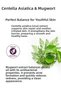 Natural Gel Mask for Young Skin Prone to Oily Skin and Acne 60 ml - Anti-Imprint - Cica & Mugwort - 5