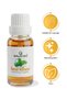 Taurus Mint Oil 20 ml 4 Pieces • Herbal Oil Blend • Aromatic Care Oil • Daily Use - 3