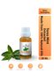 Taurus Mint Oil 20 ml 4 Pieces • Herbal Oil Blend • Aromatic Care Oil • Daily Use - 4