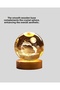 Dolphin Globe - 5