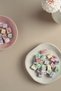 Fruit Flavored Bird Delight 900 Grams - 2