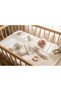 New Born Girl Long Sleeve Ecru Striped Lace Detail Five-Piece Set - 2