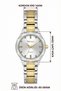 Steel Cord Steel Case Women Wrist Watch Silver-Gold Sdfer191 - 4