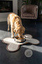 Decorative Handmade Dog Food Mat - 2