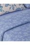 Curioleaf Cotton Single Bed Sheet Duvet Cover Set 160X220 cm Blue - Beige - 7