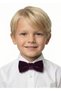 Boy's Purple Color Velvet Bow Tie