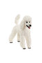 figurine, Poodle
