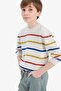 Striped Crew Neck Knitwear Sweater for Boys F3742A825Wn - 3