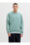 Sweatshirt mit Rundhalsausschnitt
