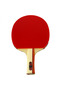 مضرب تنس الطاولة المعتمد من Tr100 Ittf
