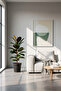 Ficus Elastica or Rubber Plant 30CM - 2