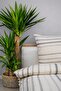 Buldan Natural Sand Gray Double Duvet Cover Set 200X220 - 2