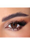 Ginger Bread Monthly Disposable Contact Lenses, Color Contact Lenses, Brown Contact Lenses