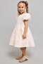 Jacquard Fit & Flare Dress With Crew Neck And Puff Sleeves - 5
