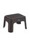 Step Stool - 2