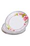Opal Dinner Plate Set, 5 Pcs, 10.5 inches - 2