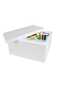 Ice Box Thermocol