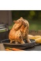 Deluxe Poultry Roaster - 4