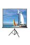Codegen Tx-24 240X200 Tripod Curtain
