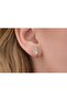 Mini Drop Zircon Stone Steel Earrings – Rose Gold - 2