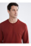 Lcwaikiki Classic Brown Crew Neck Men's Sweatshirt - 3