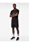 Comfortable Fit Short Sleeve Stripe Detailed Polo Collar Printed Sports T-Shirt - 2