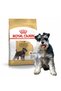Schnauzer de rasă 3 kg - 5