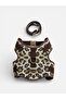 Leopard Dog Harness Set Anti-Pull/Breathable Fabric/Walking Strap - 2