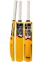 Plastic Cricket Bat Size 3 Lightweight Durable Practice and Casual Play Training Bat
