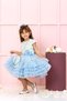 Girls' Tulle Dress Special Occasion Dress - 3