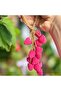 صابون معطر على شكل فراولة 🍓   علبة هدايا