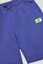 Boy Purple Shorts - 6