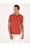 Kiremit Slim Fit 100% Cotton Non-Curling Buttoned Polo Collar Basic T-Shirt 50325323-Vr031